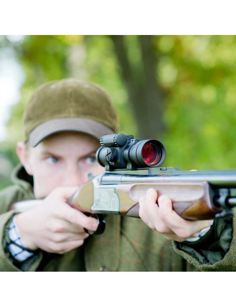 Viseur point rouge Aimpoint 9000SC 2 MOA