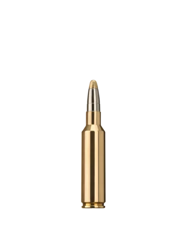 RWS Evolution 300 WSM 184 grains 2