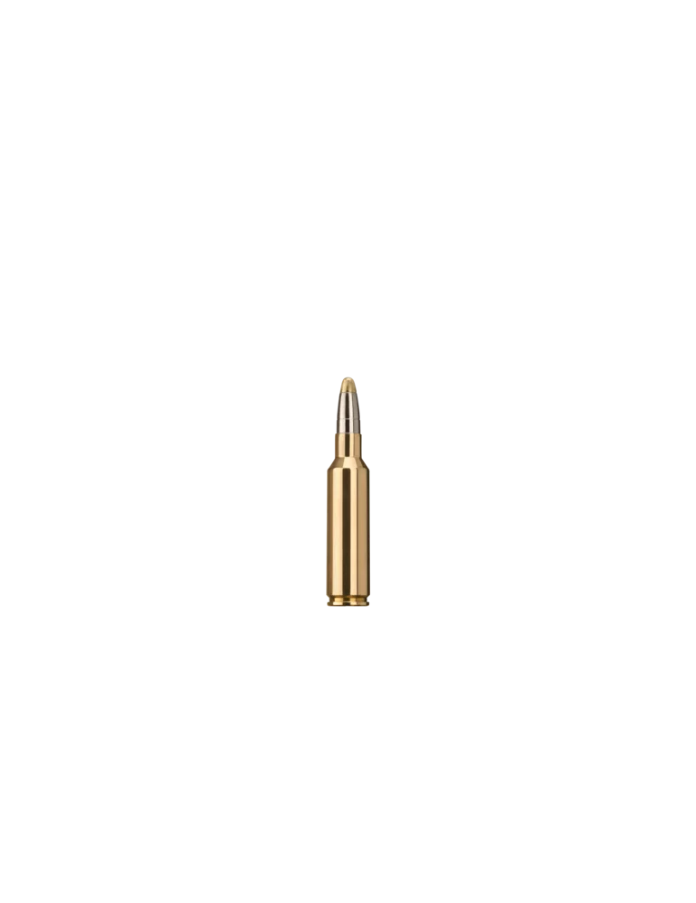 RWS .300 WSM EVO 184 gr