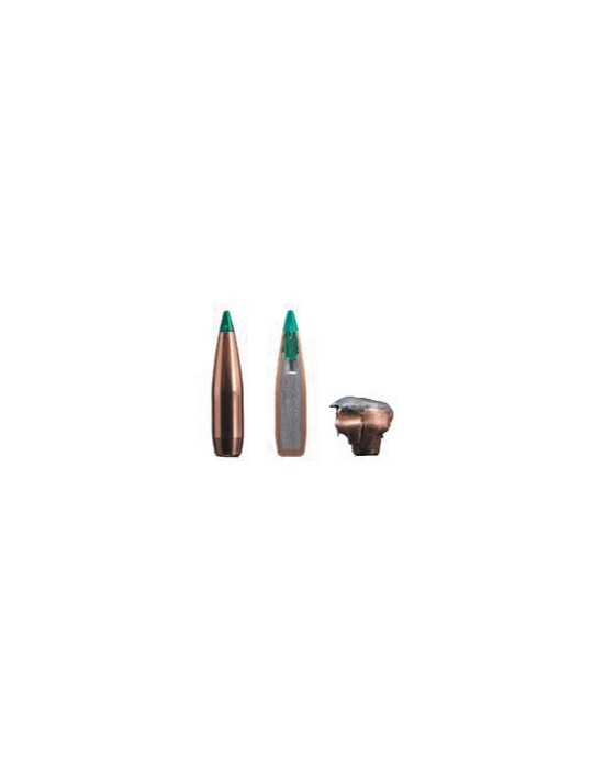 Sako .300 Win Mag Gamehead Pro 10.7 g