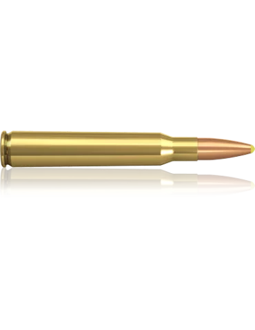 Norma Plastic Point 7x64 170 gr 2