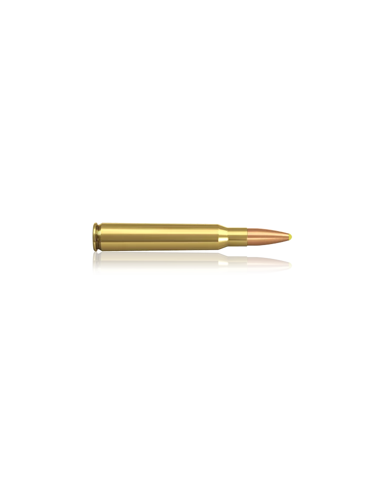 Norma 7x64 Pointe Plastique 170 gr