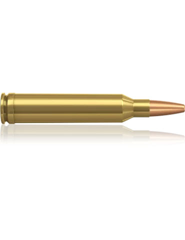 Norma Vulkan 7 mm Rem Mag 170 grains 2