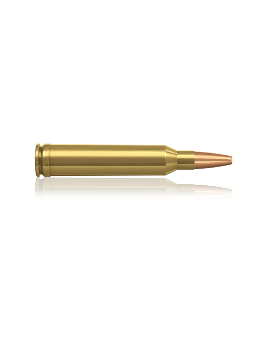 Norma 7 mm Rem. Mag. 170 gr