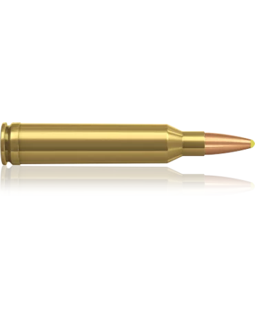 Norma Plastic Point 7 mm Rem. Mag 170 gr 2