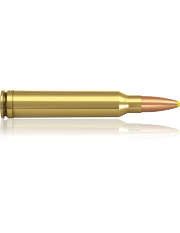 Norma .300 Win. Mag. Pointe Plastique 180 gr 2