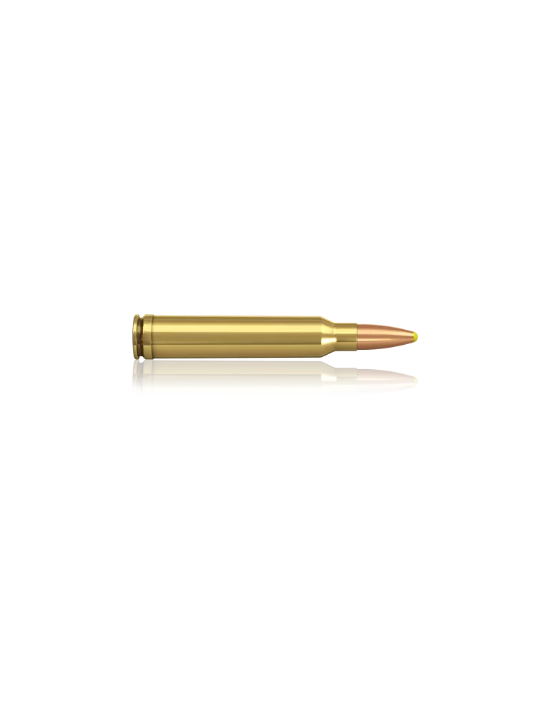 Norma .300 Win. Mag. Pointe Plastique 180 gr
