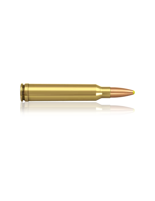 Norma .300 Win. Mag. Pointe Plastique 180 gr
