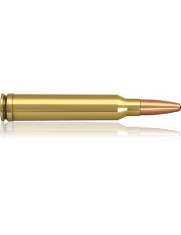 Munition de grande chasse Norma 300 Win Mag Oryx 180gr 2