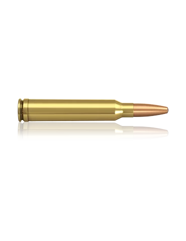 Munition de grande chasse Norma 300 Win Mag Oryx 200gr 2