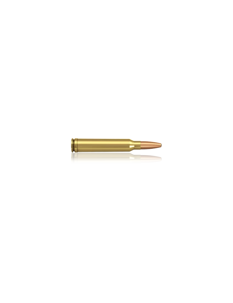 Norma .300 Win. Mag. Oryx 200 gr