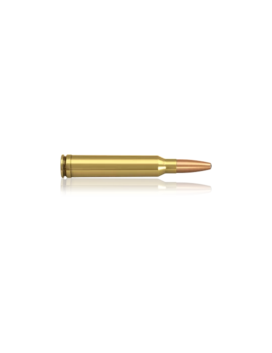 Norma .300 Win. Mag. Oryx 200 gr