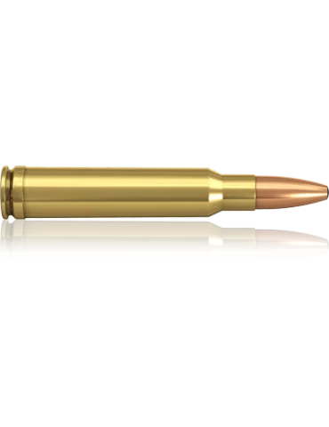 Norma Oryx 338 Win Mag 230 grains 2