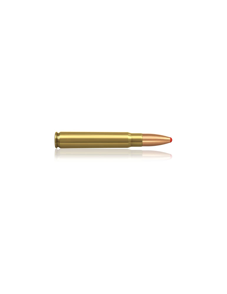 Norma 9.3x62 Pointe Plastique 285 gr