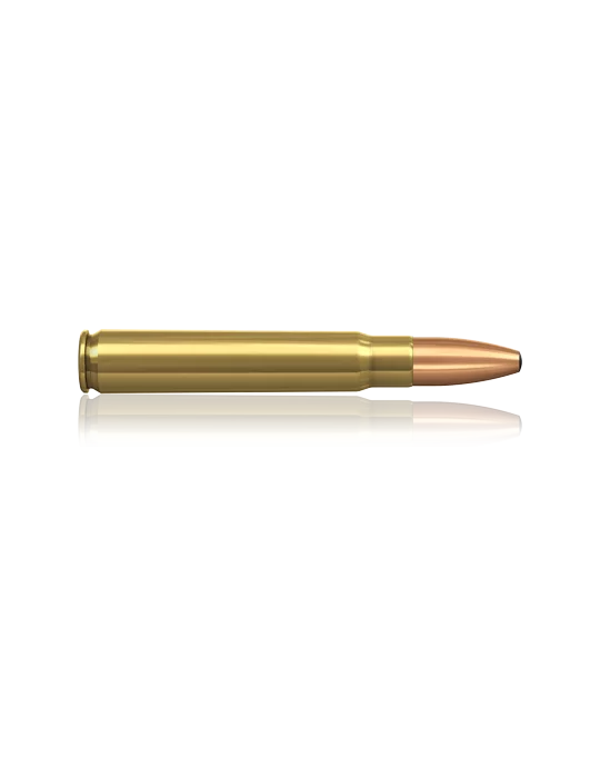 Norma 9.3x62 Oryx 325 gr