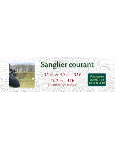 Séance de tir au sanglier courant