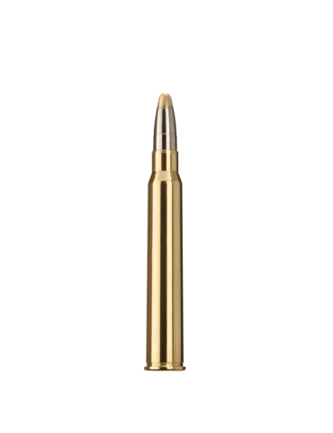 RWS Evolution 30R Blaser 184 grains 2