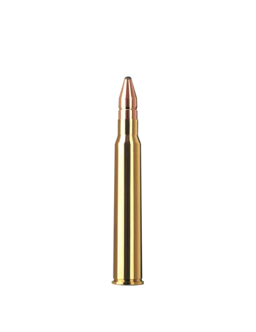 RWS DK 30 R Blaser165 grains 2