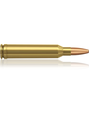 Munition de grande chasse Norma 7mm Rem Mag Oryx 170gr 2