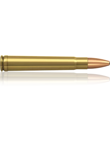 Munition de grande chasse Norma 375 H&H Mag Oryx 300gr 2