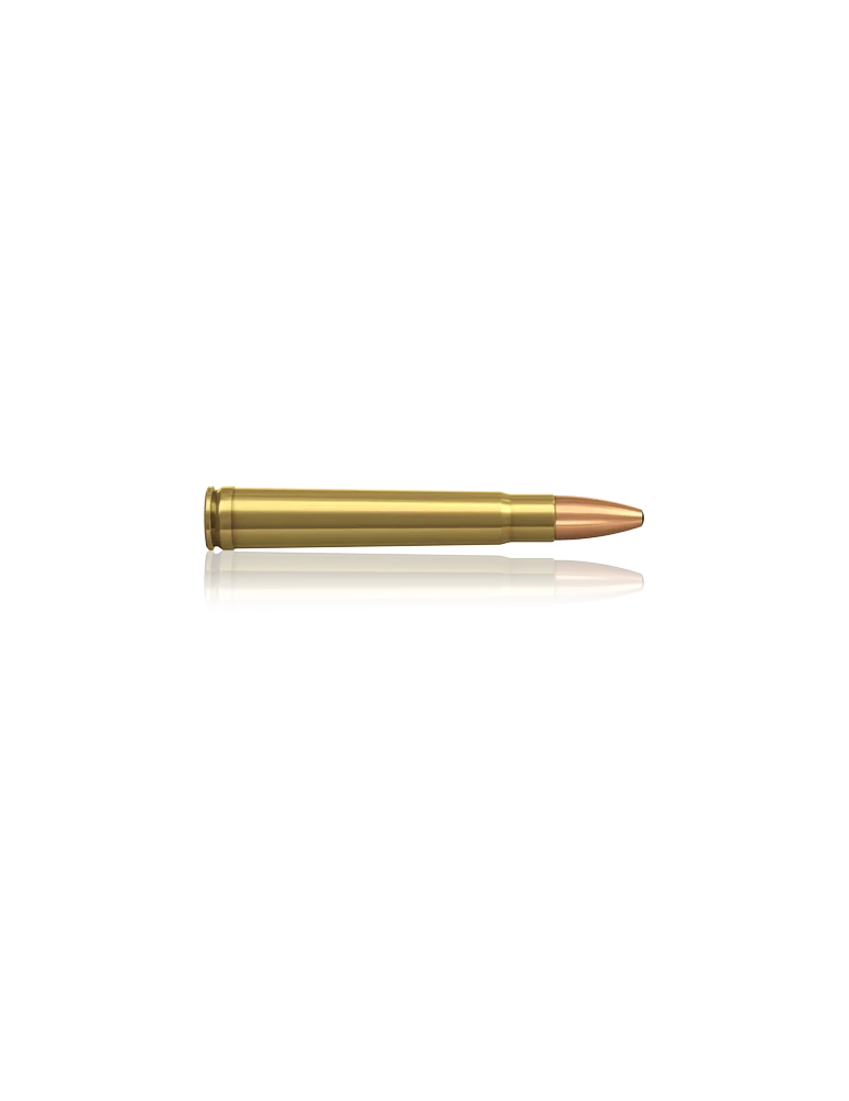 Norma .375 H&H Mag. Oryx 300 gr