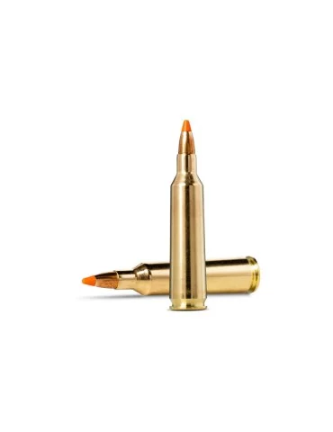 Norma TIPSTRIKE Varmint .22-250 Remington 55 gr 2