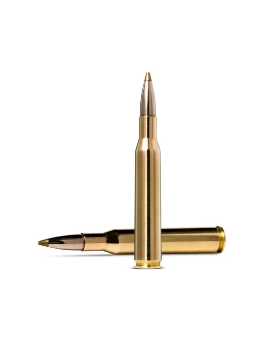Norma EVOSTRIKE .270 Winchester 6,2g