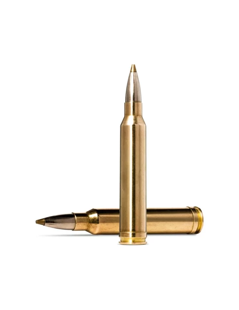 Norma EVOSTRIKE .300 Winchester Magnum 9 g