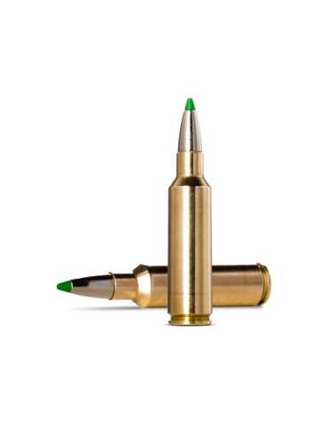 Norma ECOSTRIKE .300 Winchester Short Magnum 165 grains 2