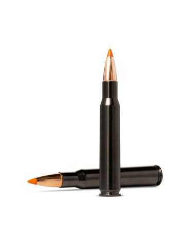 Norma Tipstrike Silencer 30-06 Springfield 170GR 2