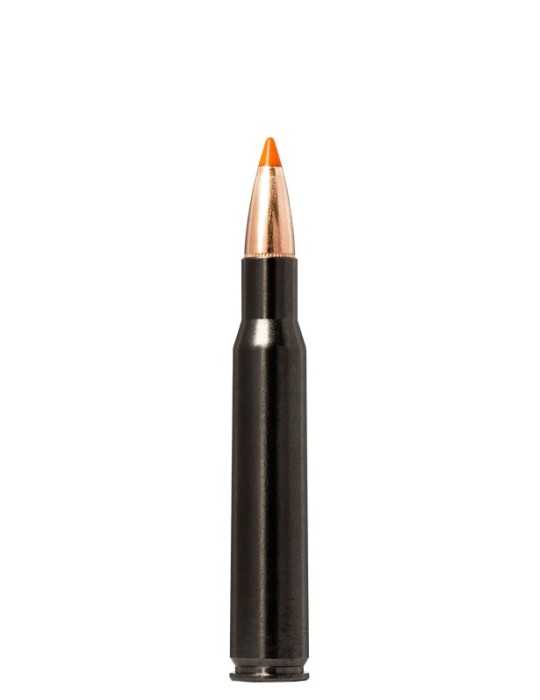 Norma Tipstrike Silencer 30-06 Springfield 11 g
