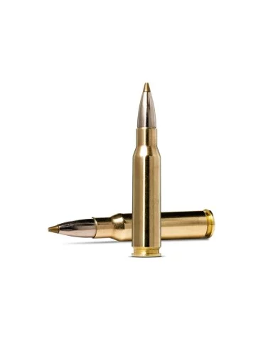 Norma EVOSTRIKE .308 Winchester 9g 2
