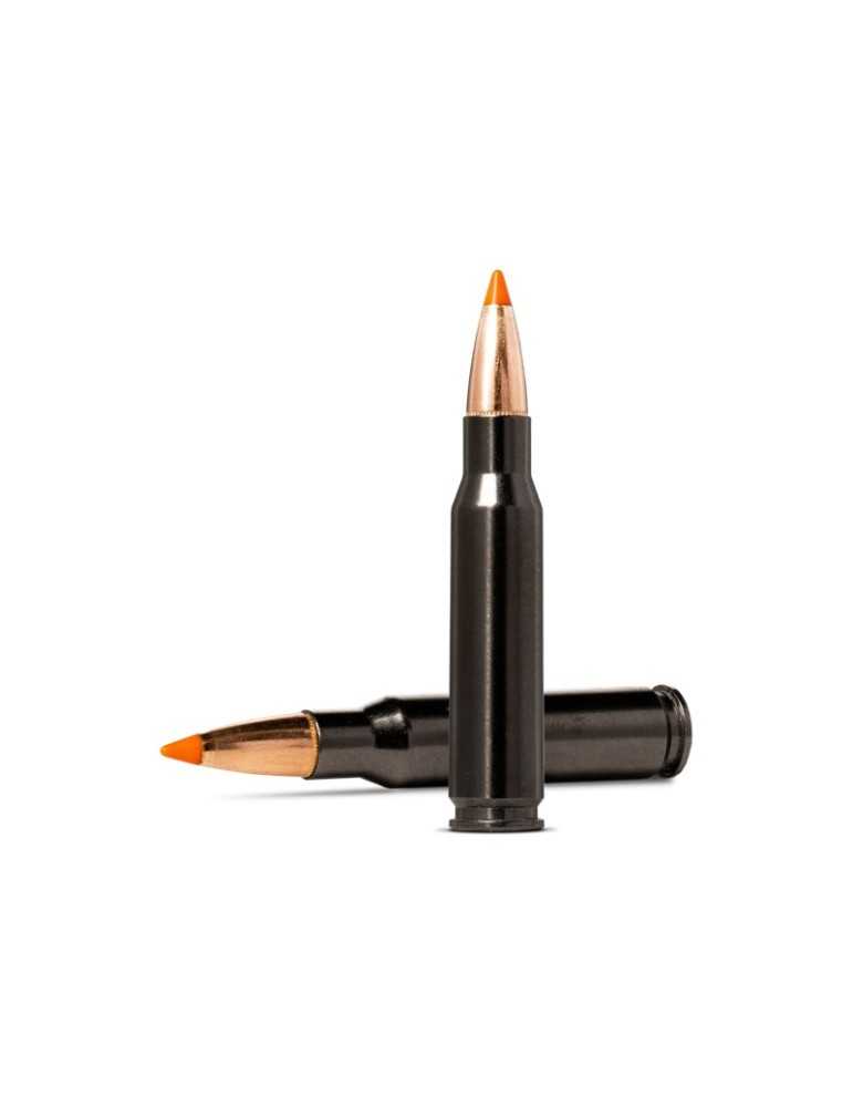 Norma Tipstrike Silencer 308 Win 11 g