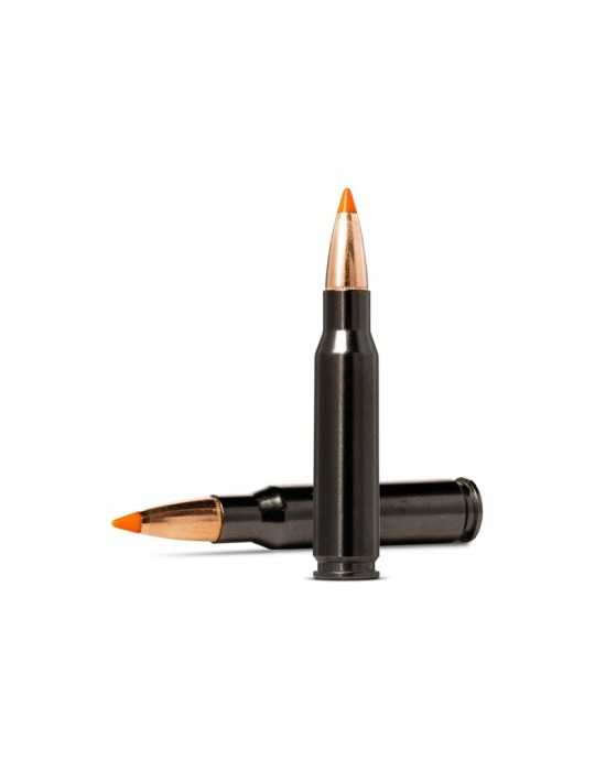 Norma Tipstrike Silencer 308 Win 11 g