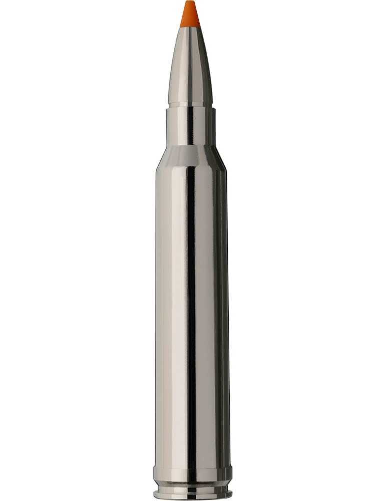 RWS .300 Win. Mag. HIT Short Rifle 10,7g