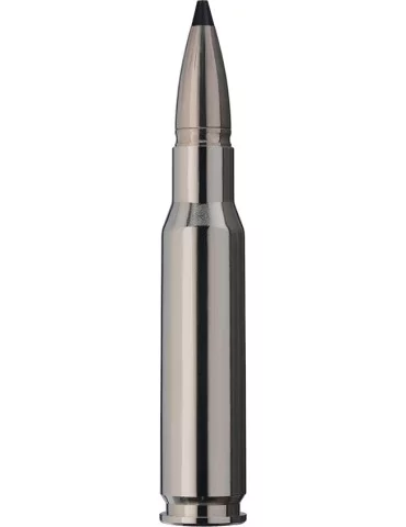 RWS .308 Win. Short Rifle SPEED TIP PRO 10,7g 2