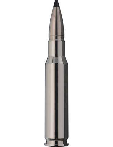 RWS Short Rifle SPEED TIP PRO .308 Win.165 grains 2
