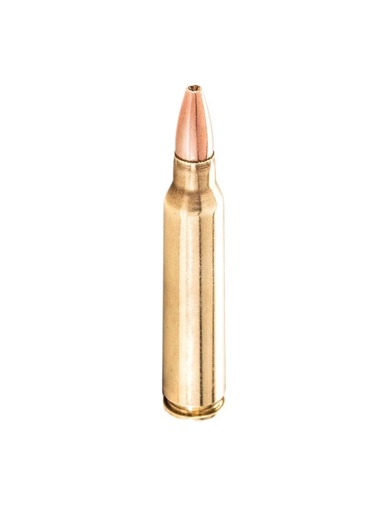 Winchester .22-250 Rem. Varmint x Lead Free 38 gr