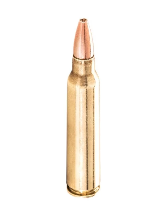 Winchester .22-250 Rem. Varmint x Lead Free 38 gr