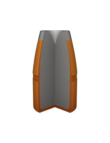 Winchester .45-70 GVT. JHP 300 gr 2