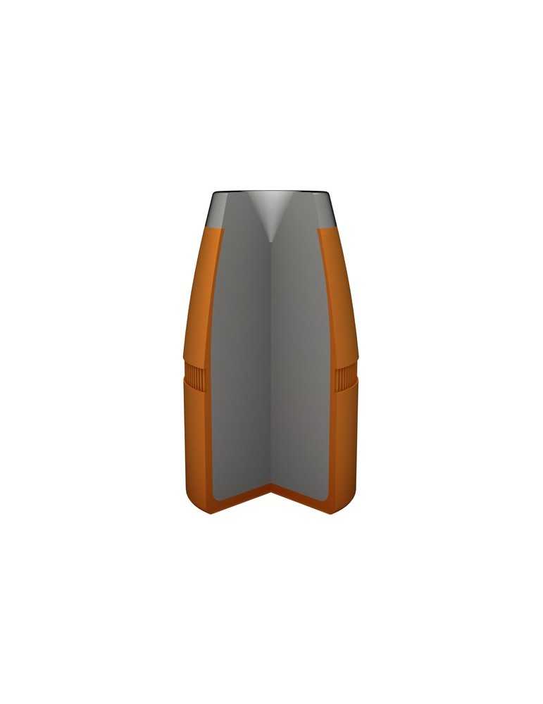 Winchester .45-70 GVT. JHP 300 gr