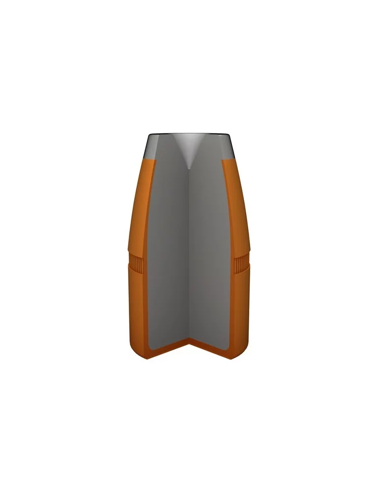 Winchester .45-70 GVT. JHP 300 gr