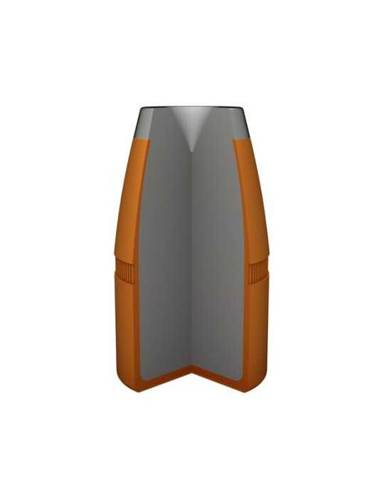 Winchester .45-70 GVT. JHP 300 gr