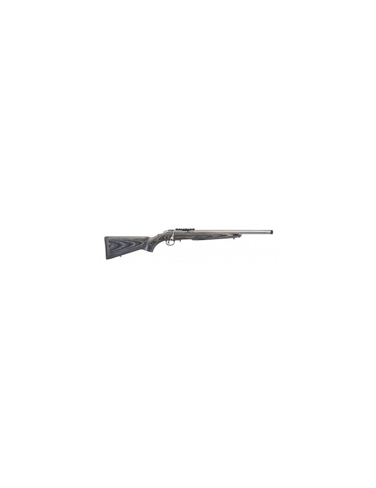 Ruger American Rimfire target inox