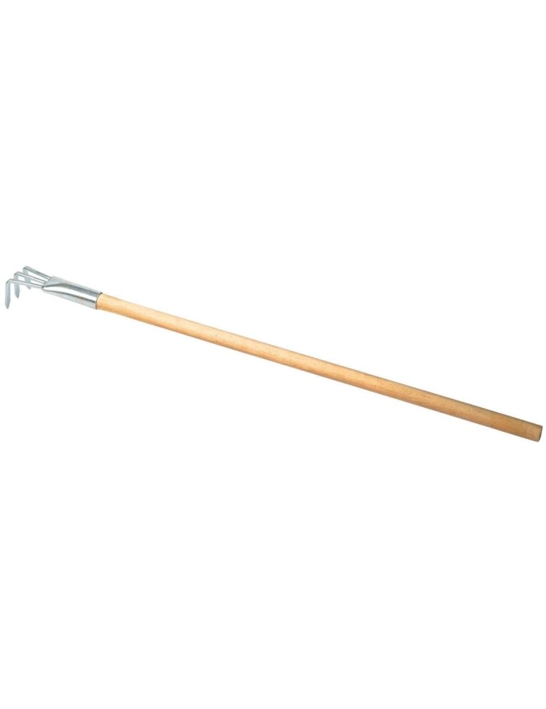 Palourdière 3 dents