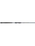 Canne defy S spinning medium heavy 13 Fishing