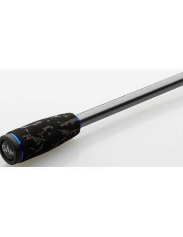 Canne Imax SW spin DAM 2