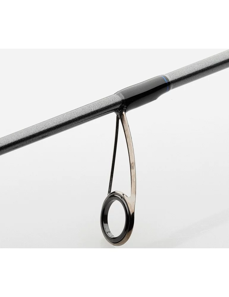 Canne Imax SW spin DAM