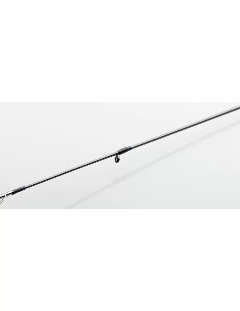 Canne Imax SW spin DAM