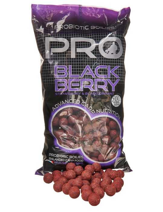 Bouillette Starbaits Pro Blackberry Boilies - Natusport